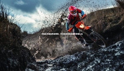 牛八体育：中超五月最佳阵容揭晓，王钰栋林良铭朱辰杰荣耀入选