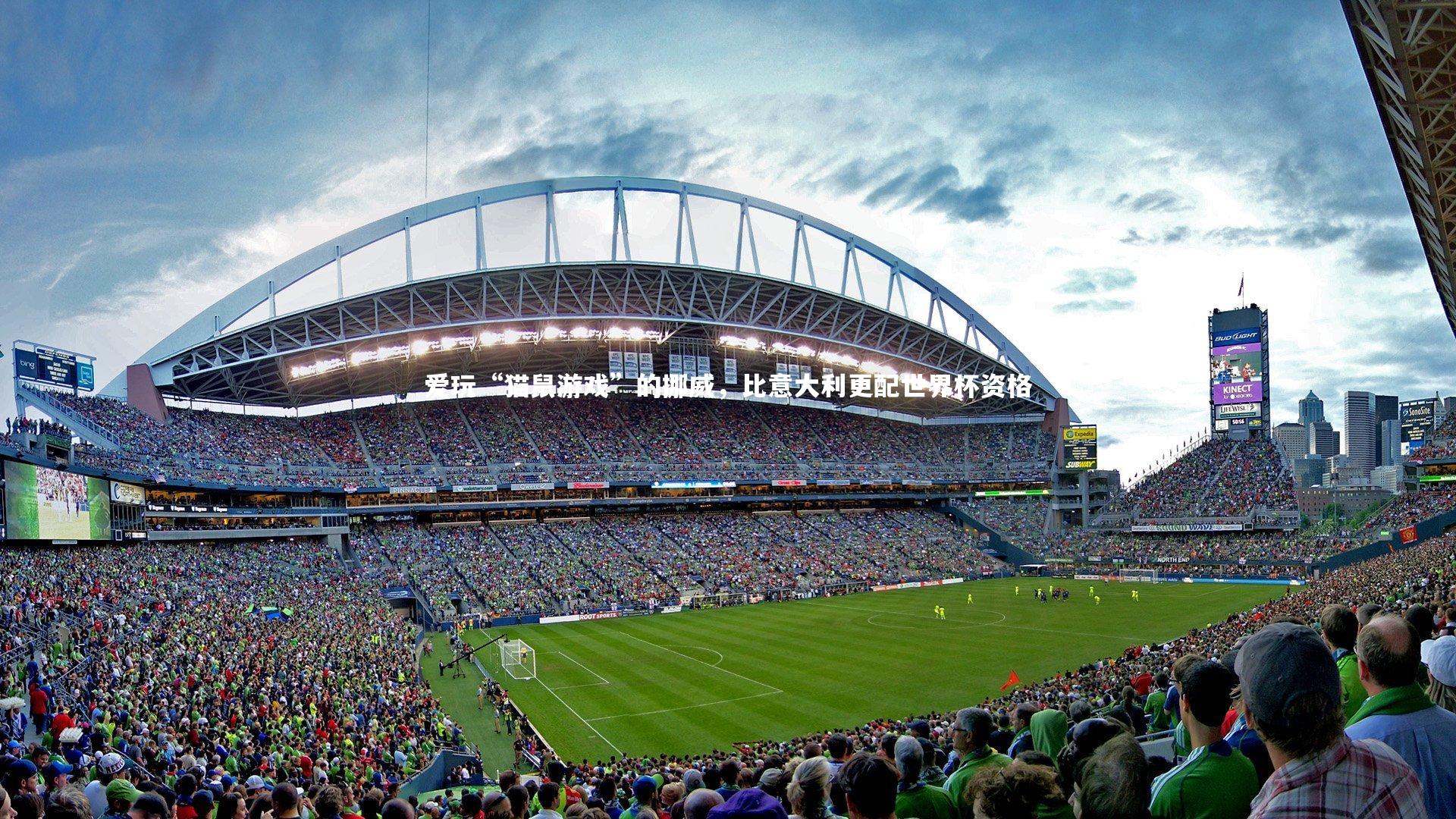 爱玩“猫鼠游戏”的挪威,比意大利更配世界杯资格